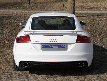 Eisenmann Edelstahl Duplex Komplettanlage ab Kat Audi TT RS Coupe Typ 8J