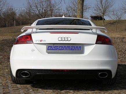 Eisenmann Edelstahl Duplex Racing-Komplettanlage ab Kat Audi TT RS Coupe Typ 8J