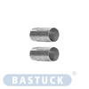 Bastuck Edelstahl Adaptersatz 2 Stück BMW Z4 E85 Roadster Facelift + E86 Coupe ab 2006